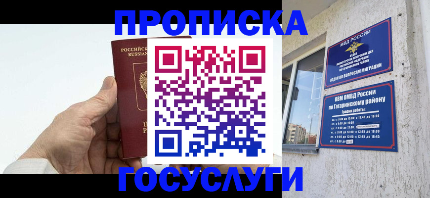 временная регистрация надежно в Новгородской области